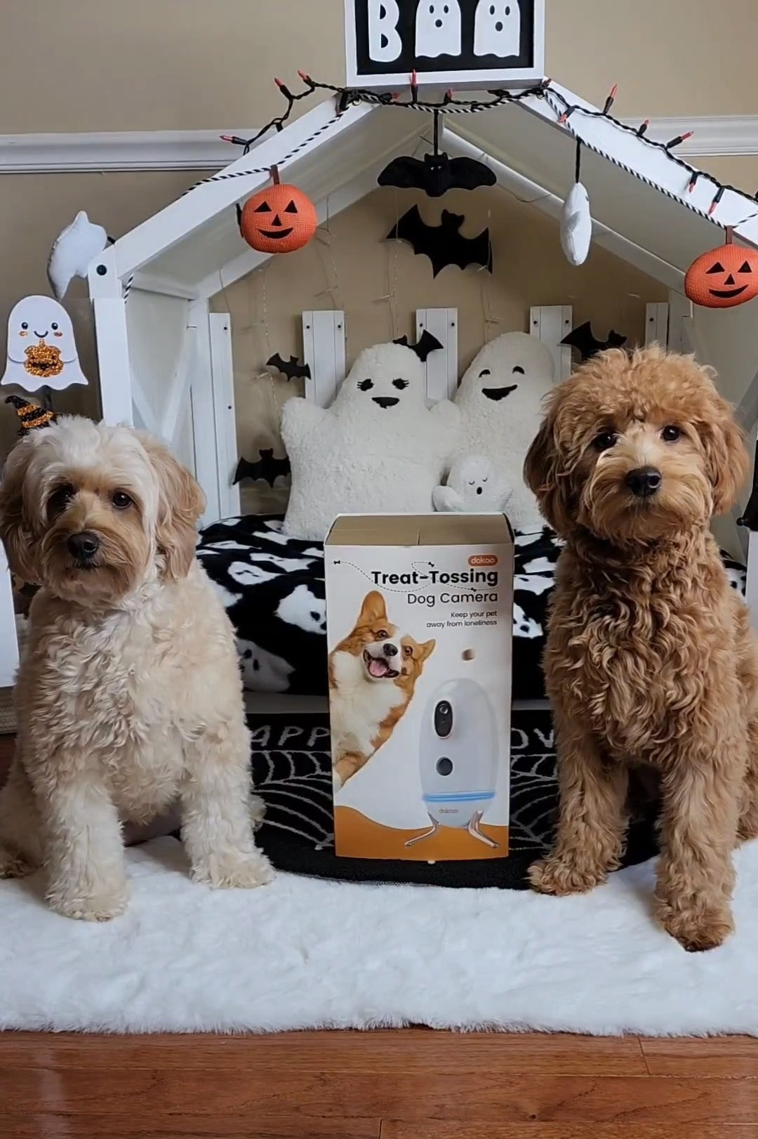 Dokoo Discount Coupon Code